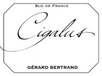 Cigalus Logo photos_image_170